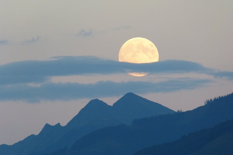 Moonlight